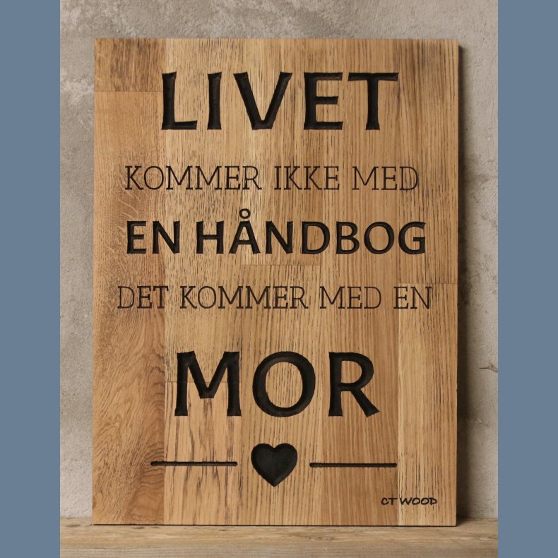 Livet kommer ikke med en hndbog 30x40